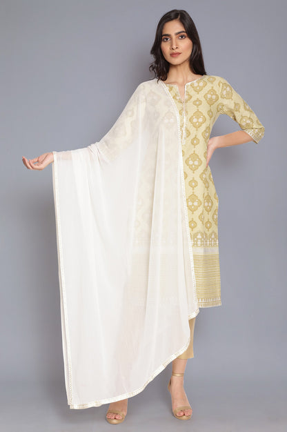 White Solid Printed Gold Border Chiffon Dupatta