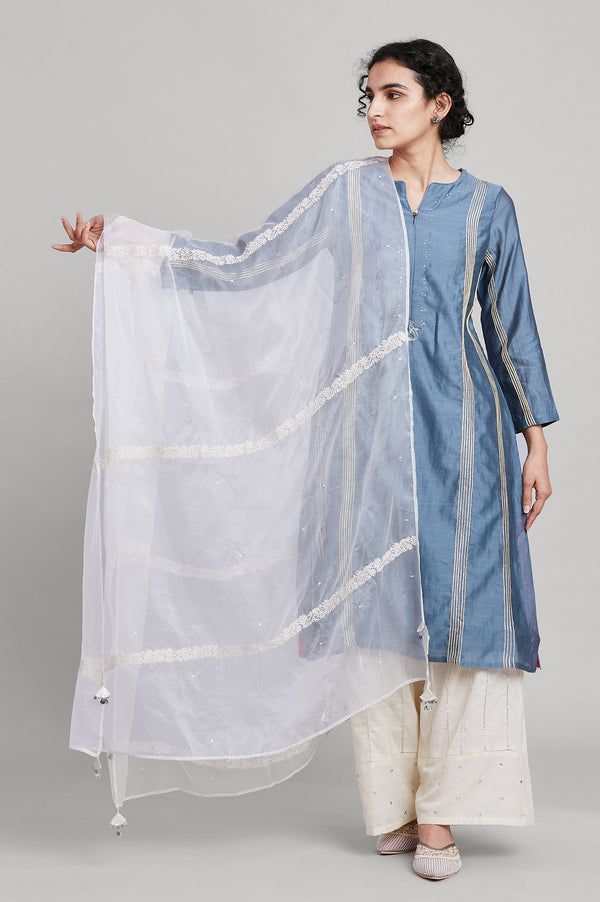 Brown Embroidered Organza Dupatta