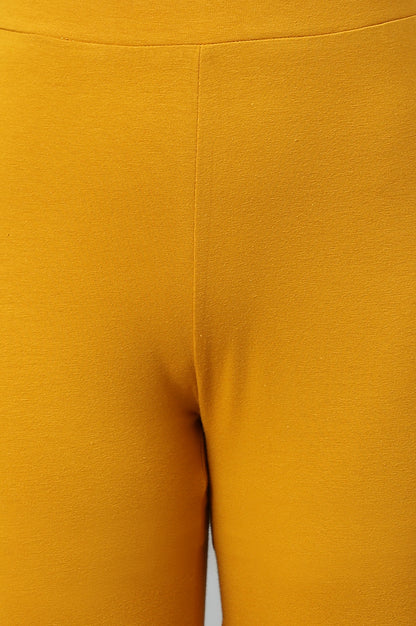 Mustard Solid Knitted Women Tights
