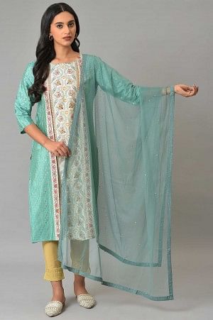 Aqua Blue Mesh Dupatta With Sequins - FS