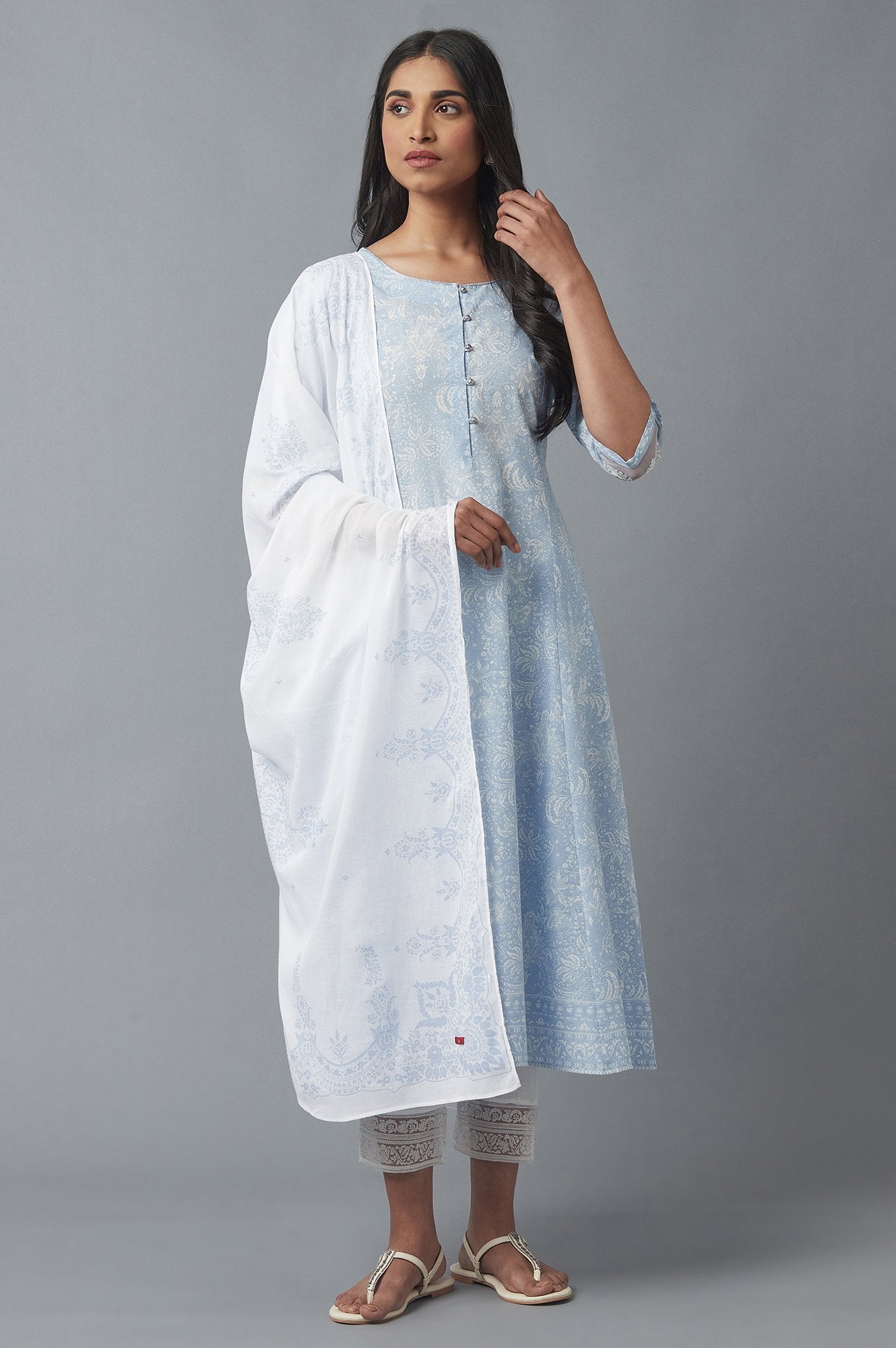 Ecru and Blue Printed Voile Dupatta
