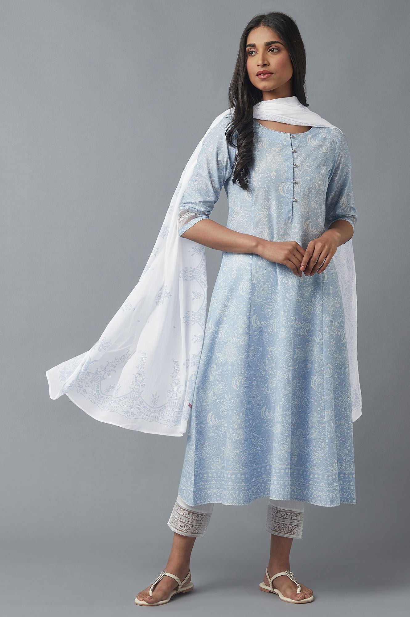 Ecru and Blue Printed Voile Dupatta