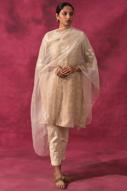 Light Grey V-Neck Lustrous Satin kurta