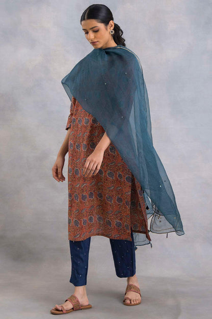 Blue Silk Organza Embroidered Drape - wforwoman