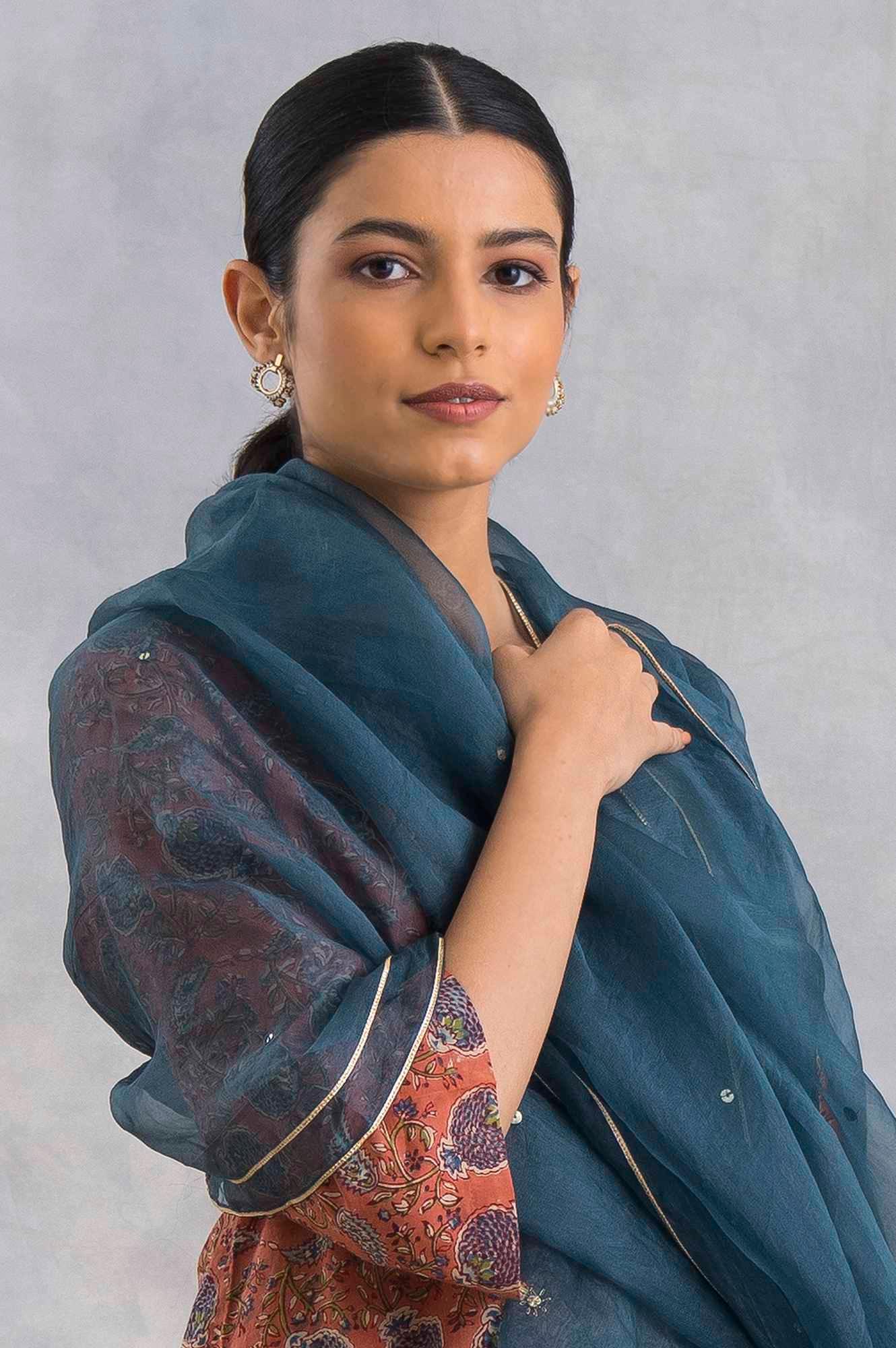 Blue Silk Organza Embroidered Drape - wforwoman