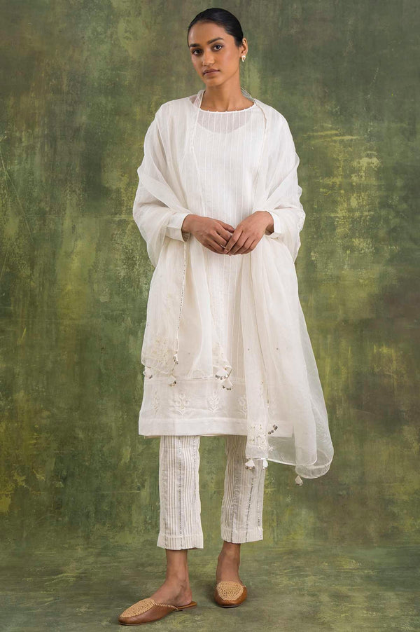 Ecru Silk Organza Embroidered Drape