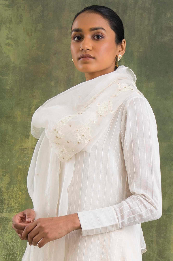 Ecru Silk Organza Embroidered Drape