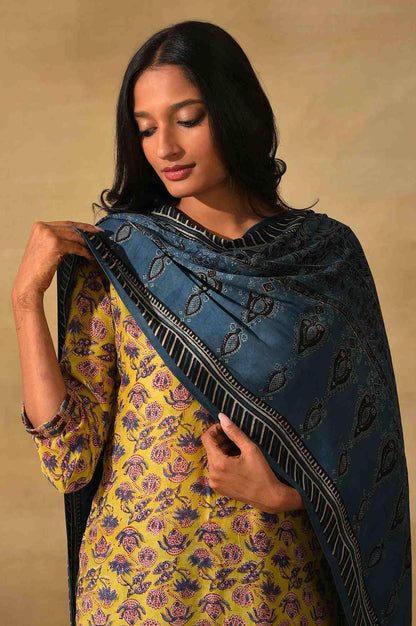 Indigo Ajrakh Printed Drape - wforwoman