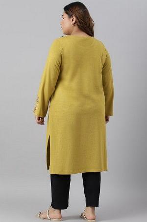 Green Embroidered Straight Plus Size kurta