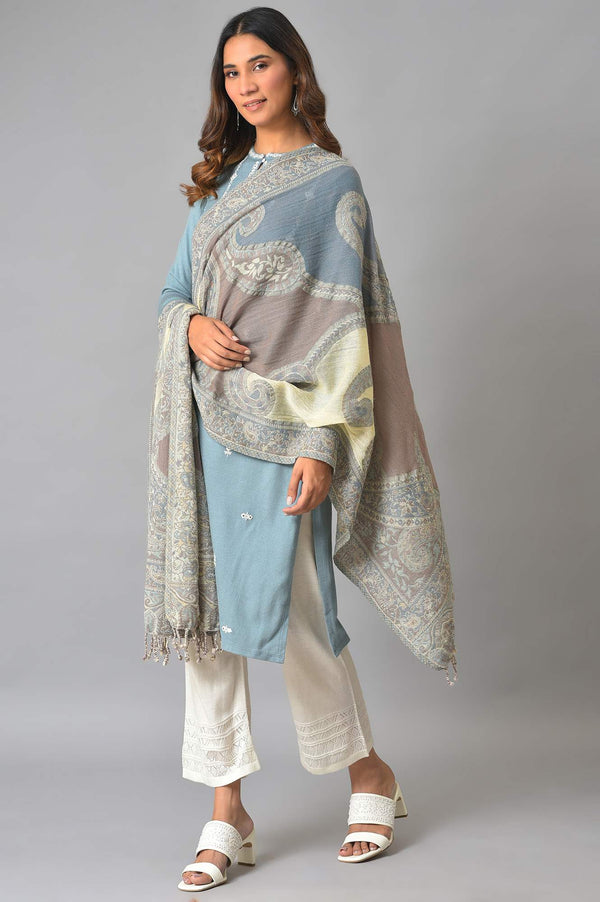 Light Blue And Grey Paisley Printed Women Winter Shawl