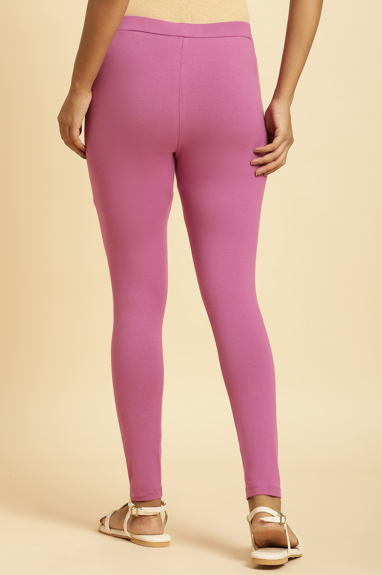 Purple Knitted Solid Tights