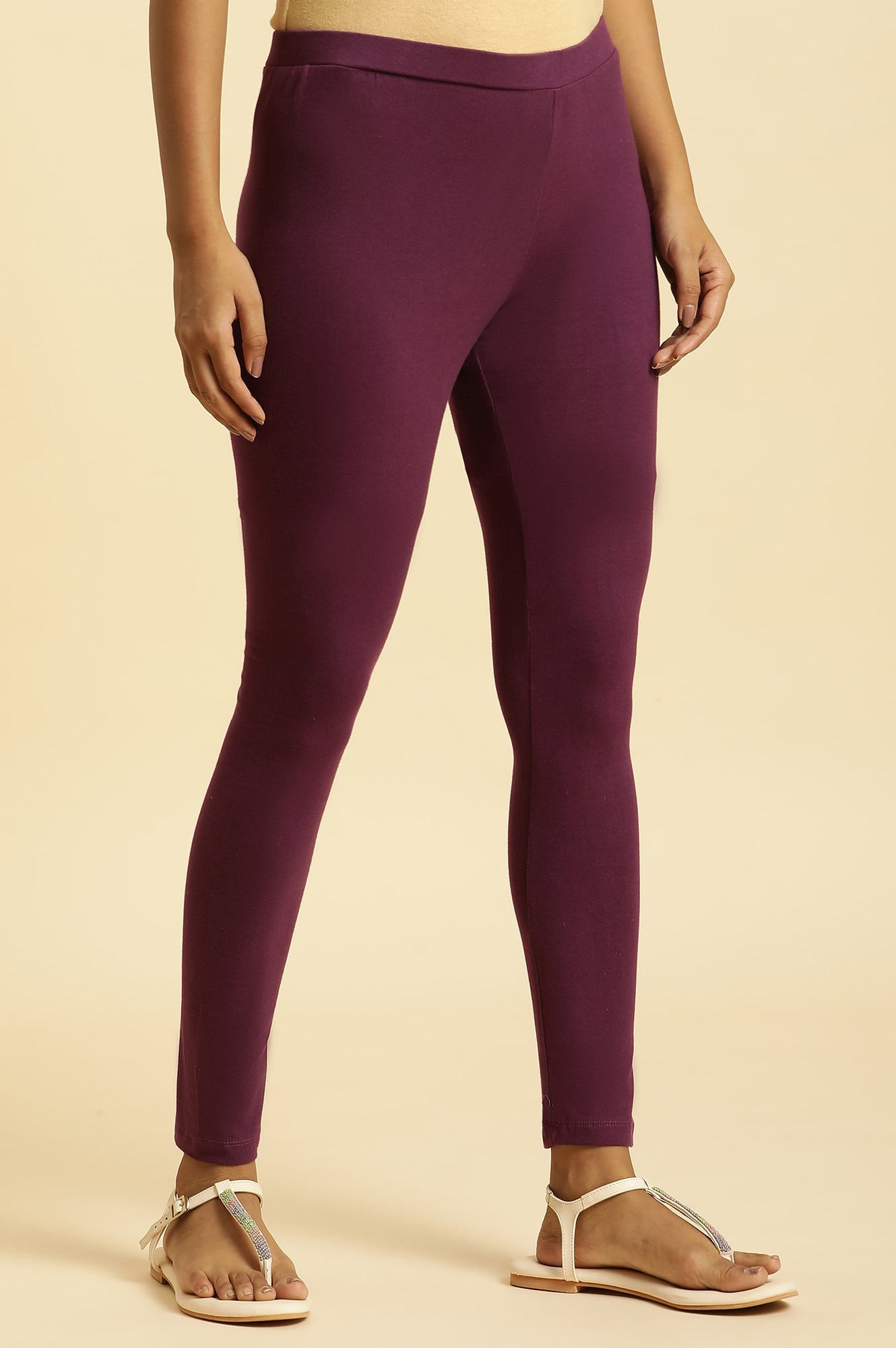 Buy Purple Knitted Solid Tights Online for Woman | WforWoman