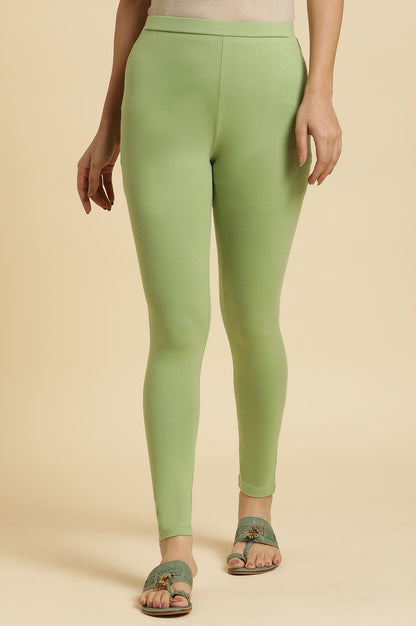 Green Cotton Jersey Tights