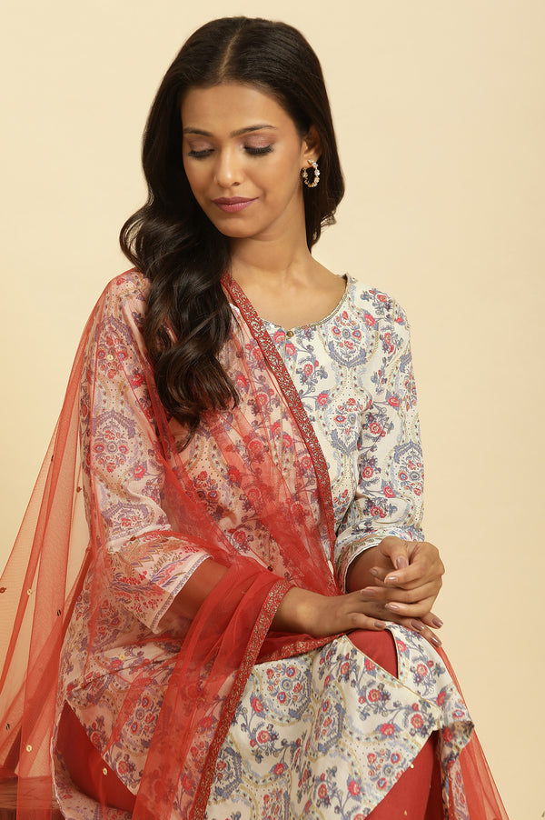 Rust Red Net Dupatta with Glitter Tape Border