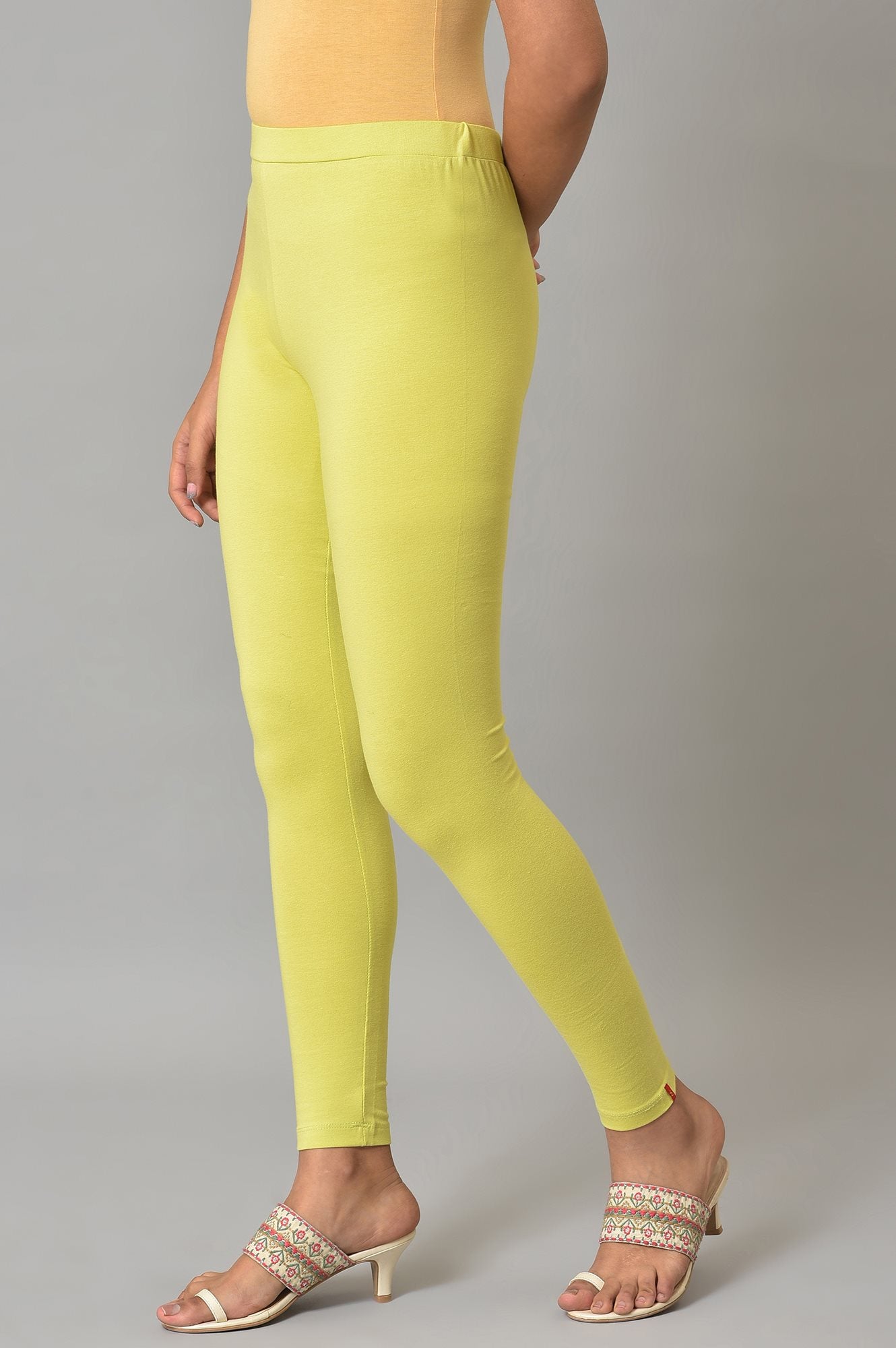 Green Cotton Jersey Tights