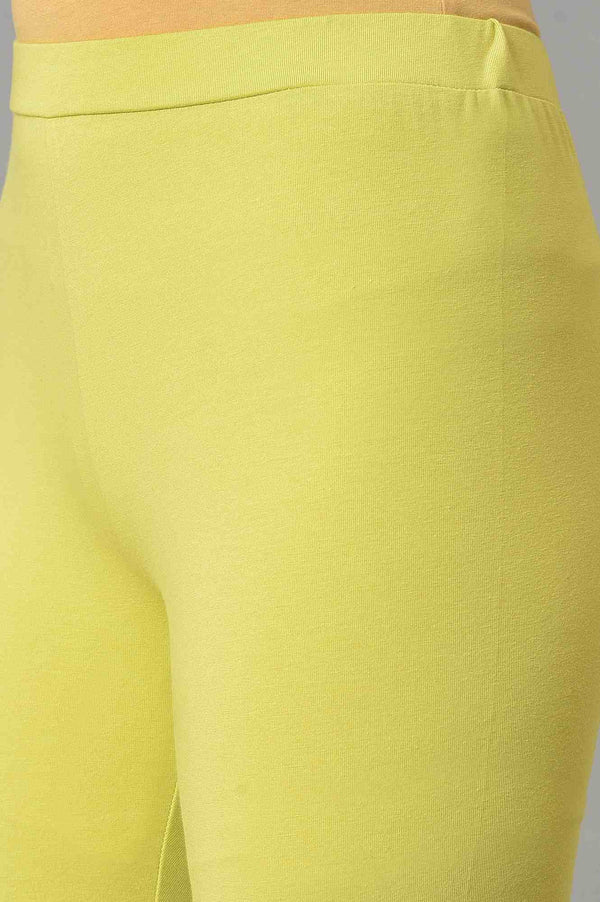 Green Cotton Jersey Tights