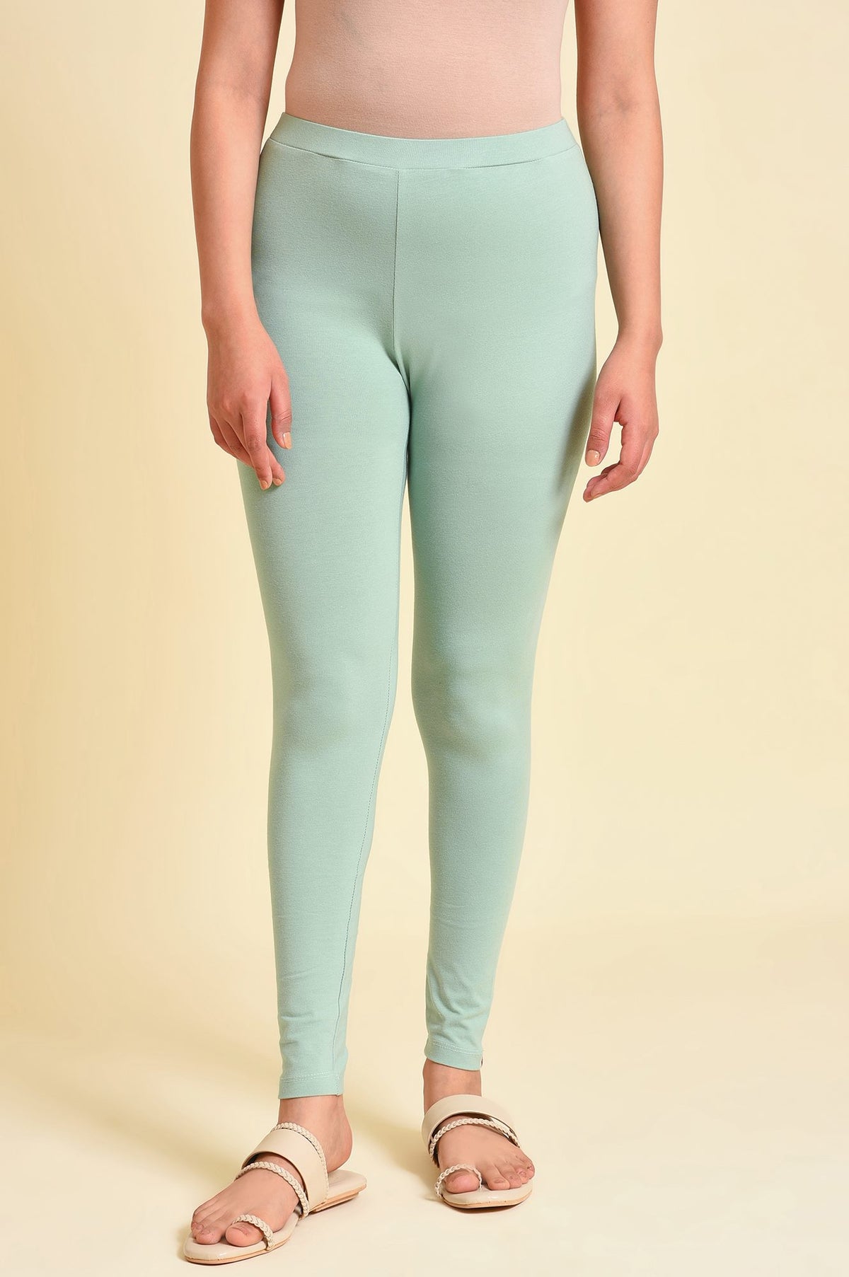Cameo Green Cotton Jersey Tights - M