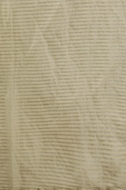 Green Striped Woven Gold Borders Silk Dupatta