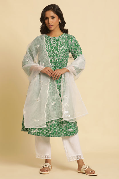 White Embroidered Metallic Organza Dupatta