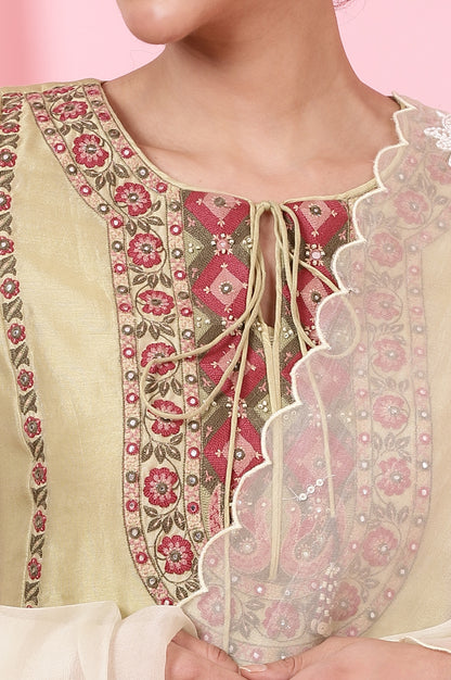 Dark Brown Silk Organza Embroidered Dupatta