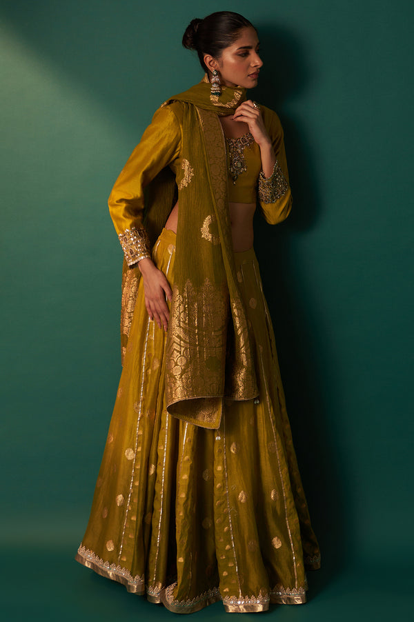 Green Embroidered Flared Cotton Blouse with Skirt and Dupatta Set