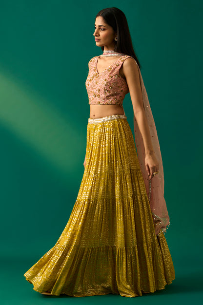 Pink Embroidered Straight Cut Blouse with Skirt and Dupatta Set