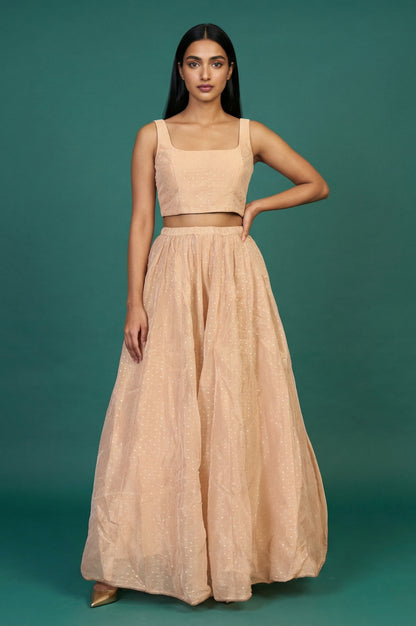 Peach Zari Embroidered Flared Top with Jacket and Skirt Set