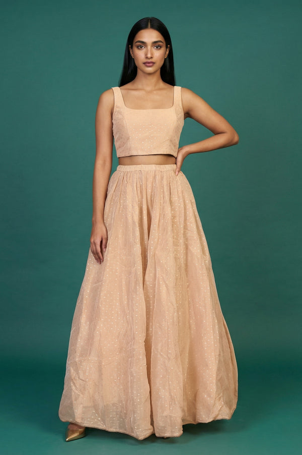 Peach Zari Embroidered Flared Top with Jacket and Skirt Set