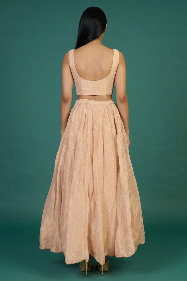 Peach Zari Embroidered Flared Top with Jacket and Skirt Set