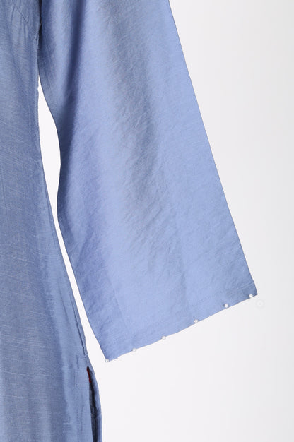 Blue Thread Embroidered Straight Kurta