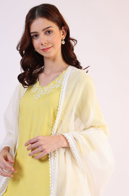 White Embroidered Lace Nylon Dupatta