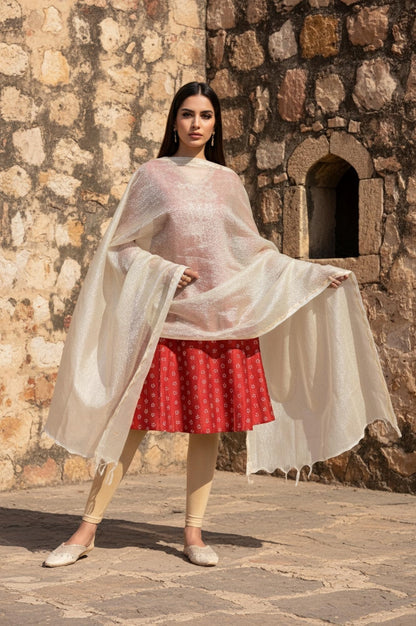 Gold Crushed Solid Zari Work Tissue Dupatta