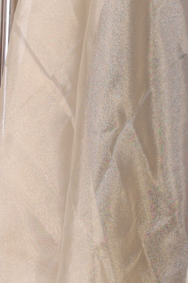 Gold Tissue Dupatta