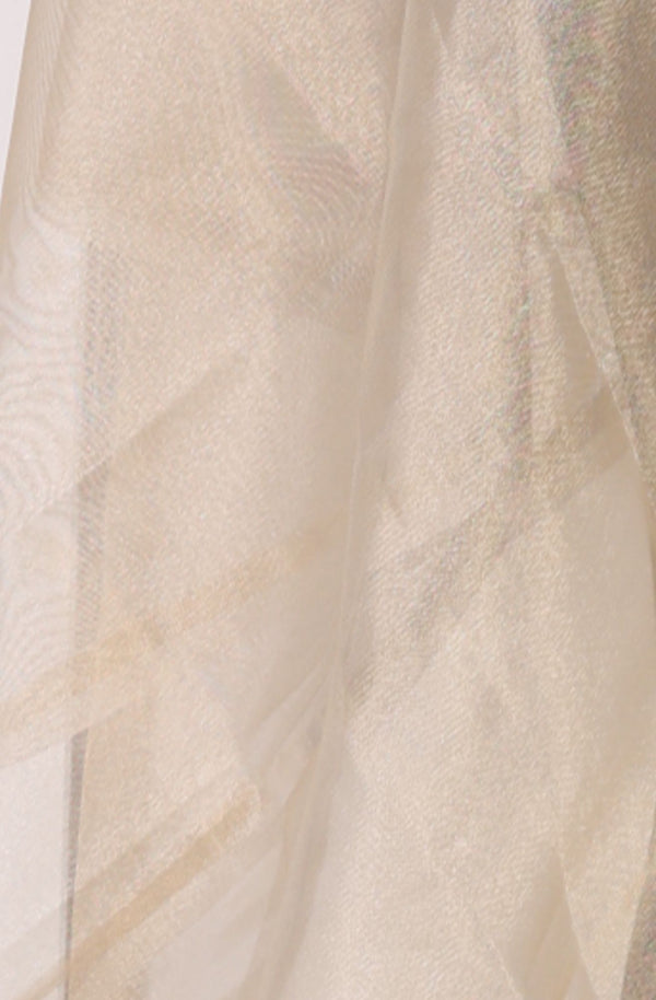 Gold Solid Zari Organza Dupatta