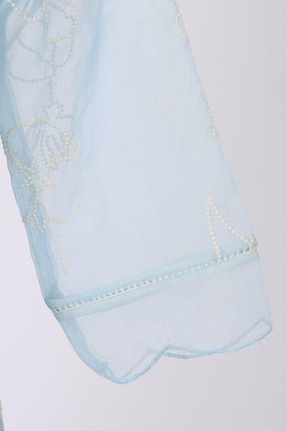 Blue Thread Embroidered Organza Straight Kurta with Pants and Dupatta Set