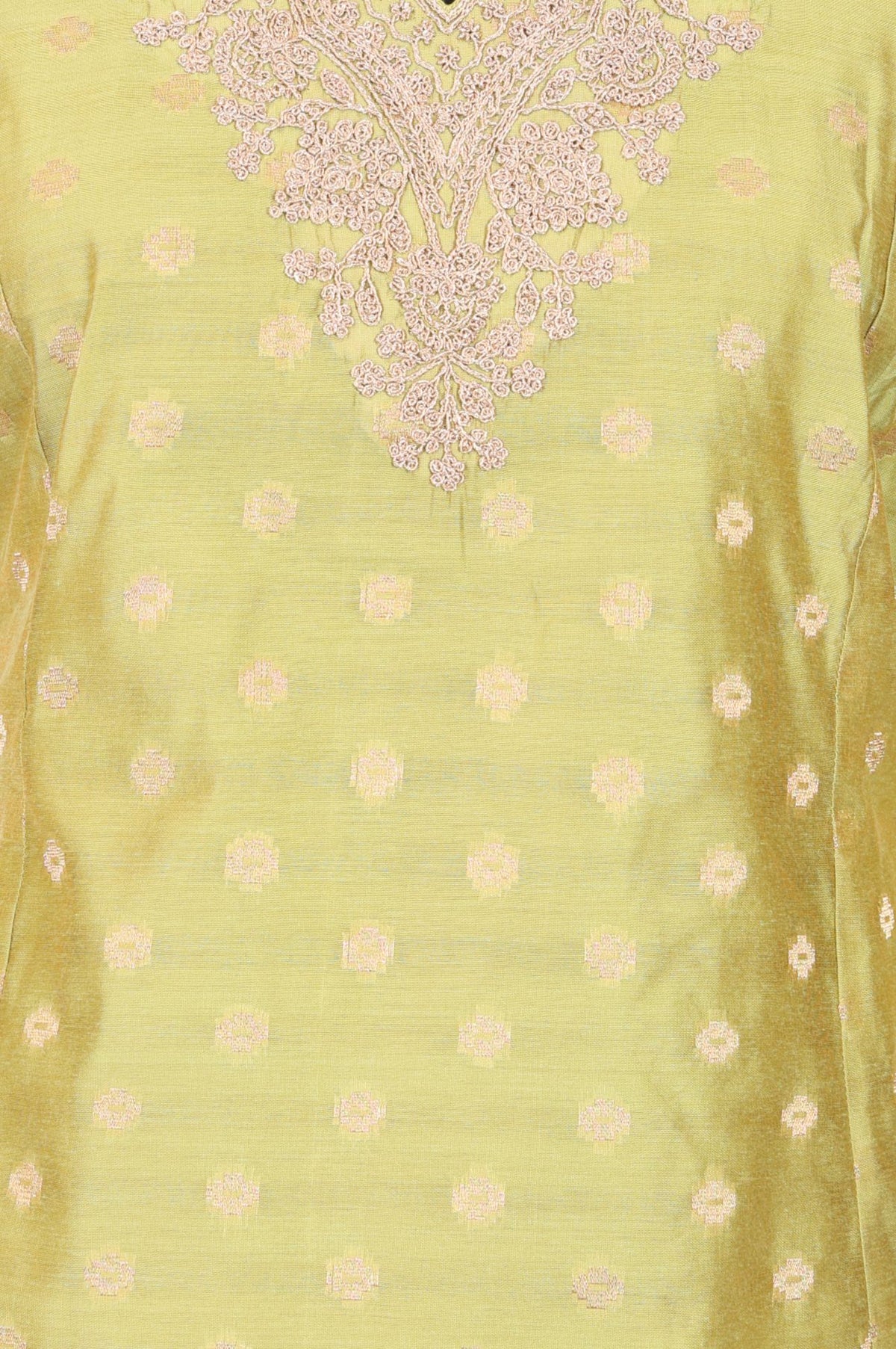 W Green Yarn Dyed Embroidered Chanderi Straight Kurta